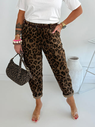 Leo Hose 2608192-95